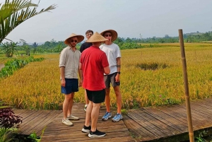 Botanische tuin Jakarta Bogor, rijstterras en waterval