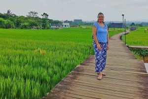 Botanische tuin Jakarta Bogor, rijstterras en waterval