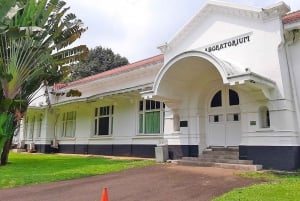 Botanische tuin Jakarta Bogor, rijstterras en waterval