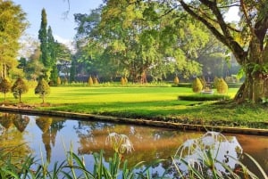 Botanische tuin Jakarta Bogor, rijstterras en waterval