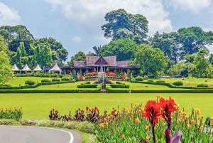 Botanische tuin Jakarta Bogor, rijstterras en waterval