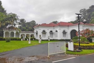 Botanische tuin Jakarta Bogor, rijstterras en waterval