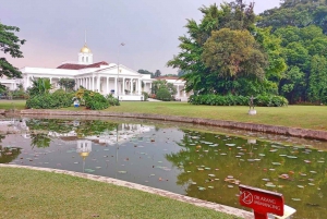 Botanische tuin Jakarta Bogor, rijstterras en waterval