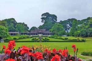 Botanische tuin Jakarta Bogor, rijstterras en waterval