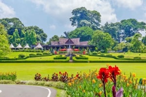 Botanische tuin Jakarta Bogor, rijstterras en waterval