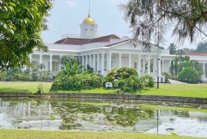 Botanische tuin Jakarta Bogor, rijstterras en waterval