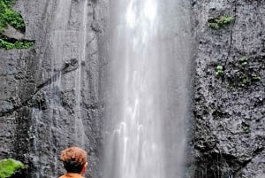 Botanische tuin Jakarta Bogor, rijstterras en waterval