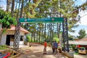 Botanische tuin Jakarta Bogor, rijstterras en waterval