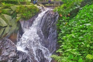 Botanische tuin Jakarta Bogor, rijstterras en waterval