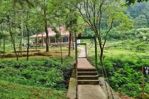 Botanische tuin Jakarta Bogor, rijstterras en waterval