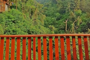 Botanische tuin Jakarta Bogor, rijstterras en waterval