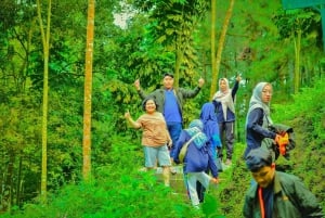 Botanische tuin Jakarta Bogor, rijstterras en waterval