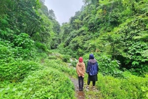 Botanische tuin Jakarta Bogor, rijstterras en waterval