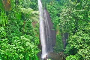 Botanische tuin Jakarta Bogor, rijstterras en waterval