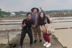 Botanische tuin Jakarta Bogor, waterval en rijstterras
