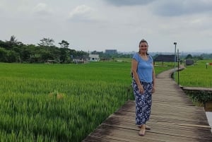 Jardim Botânico de Bogor, Jacarta, cachoeira e terraço de arroz