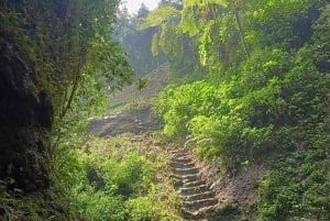 Jakarta Bogor Botanical Garden, Waterfall and Rice Terrace