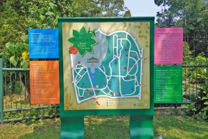 Jakarta Bogor Botanical Garden, Waterfall and Rice Terrace