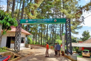 Jakarta Bogor Botanical Garden, Waterfall and Rice Terrace