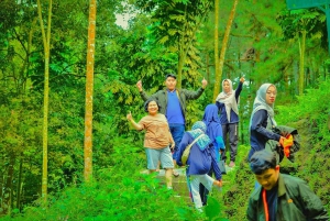 Jakarta Bogor Botanical Garden, Waterfall and Rice Terrace