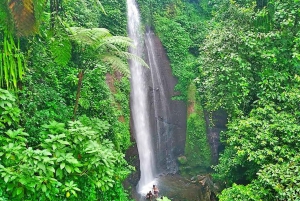 Jakarta Bogor Botanical Garden, Waterfall and Rice Terrace