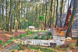 Jakarta Bogor Botanical Garden, Waterfall and Rice Terrace