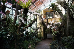 Jakarta: Bogor Cultural Tour with Botanical Gardens Visit