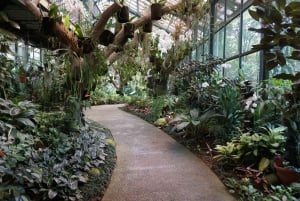 Jakarta: Bogor Cultural Tour with Botanical Gardens Visit