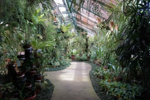 Jakarta: Bogor Cultural Tour with Botanical Gardens Visit