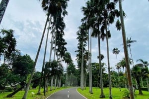 Dżakarta: Ogród botaniczny i trekking przez las deszczowy do wodospadu
