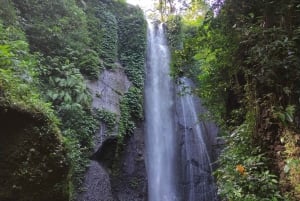 Jacarta : Excursão ao jardim botânico, cachoeiras e campos de arroz