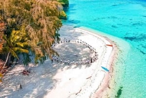 Jakarta: Diving at Thousand Islands Marine Park Day Trip