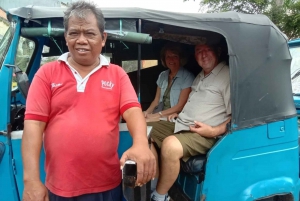 Jakarta Highlights City Tour with Local Experience