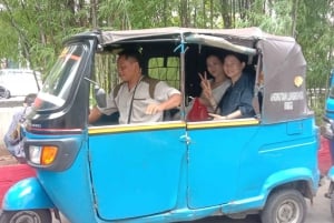 Jakarta Highlights City Tour with Local Experience