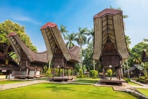 Jakarta : Excursion d'une journée à Jakarta pour découvrir la culture et les sites d'intérêt de la ville