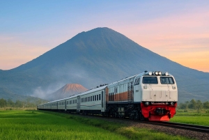 Jakarta: Java to Bali Train Tour with Hotels