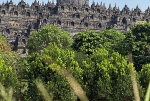 Jakarta: Java to Bali Train Tour with Hotels
