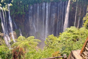 Jakarta: Java to Bali Train Tour with Hotels