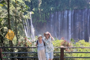 Jakarta: Java to Bali Train Tour with Hotels