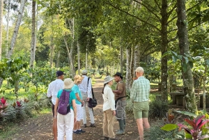 Jakarta: Java to Bali Train Tour with Hotels