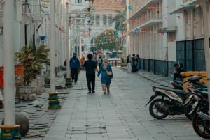 Jakarta: tour door oude stad met gids en toegang tot museum