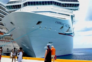 Jakarta Port: Private Guided City Highlights Shore Excursion