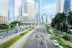 Jakarta: Private custom tour with a local guide