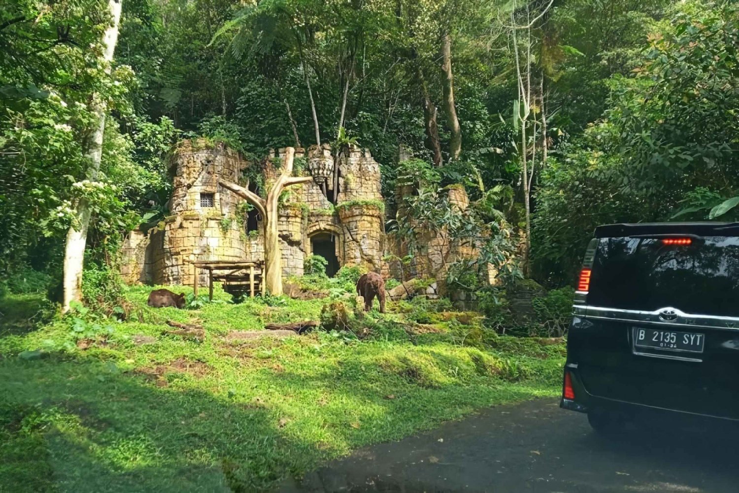 Prywatna wycieczka po parku safari, plantacjach herbaty i wodospadzie w Dżakarcie