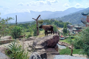 Visite privée de Jakarta Parc safari, plantations de thé et cascade
