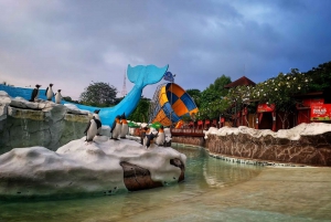 Jakarta - privat tur til safaripark, teplanter og fossefall