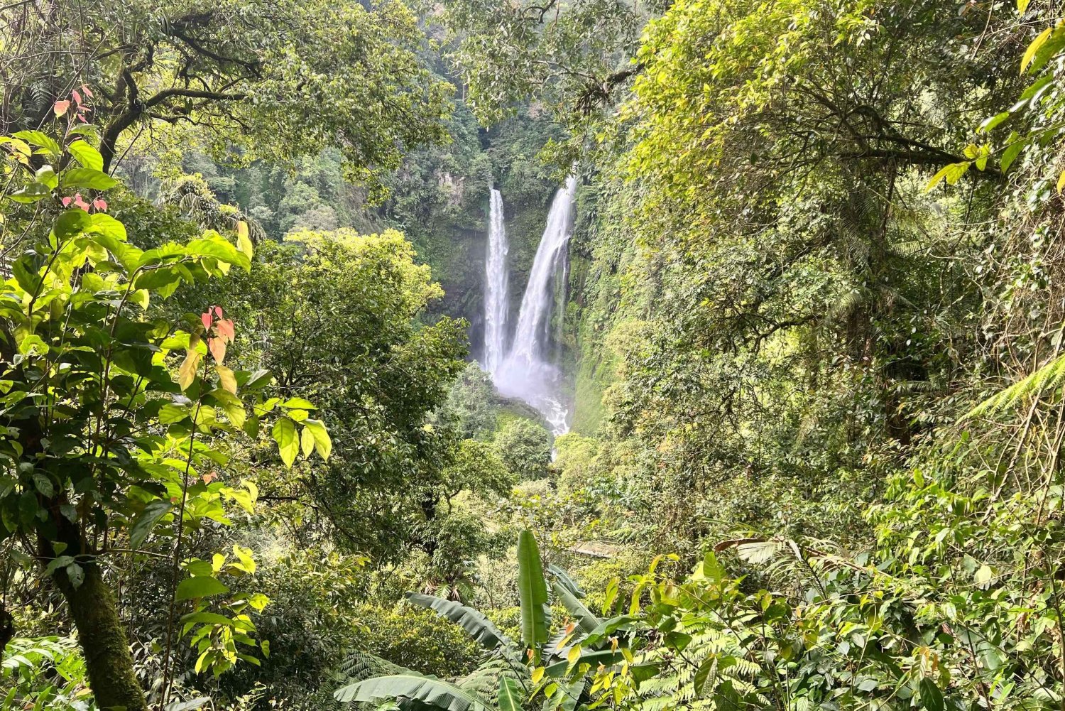 Джакарта: Поход по тропическому лесу к водопаду и подвесному мосту
