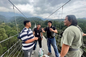 Джакарта: Поход по тропическому лесу к водопаду и подвесному мосту