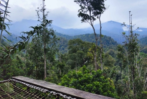 Джакарта: Поход по тропическому лесу к водопаду и подвесному мосту