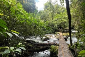 Джакарта: Поход по тропическому лесу к водопаду и подвесному мосту